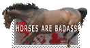 Horses are badass