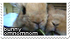 Bunny nomnomnom