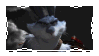 Bunnymund