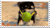 Nintendogs