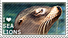 I love sea lions