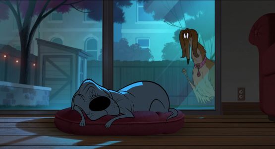 Honey visits Bull at night